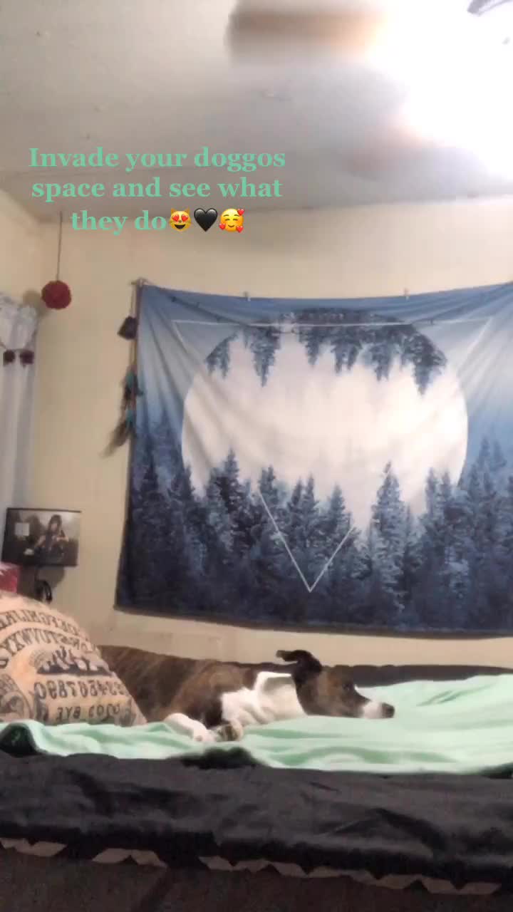 @StephyWal13