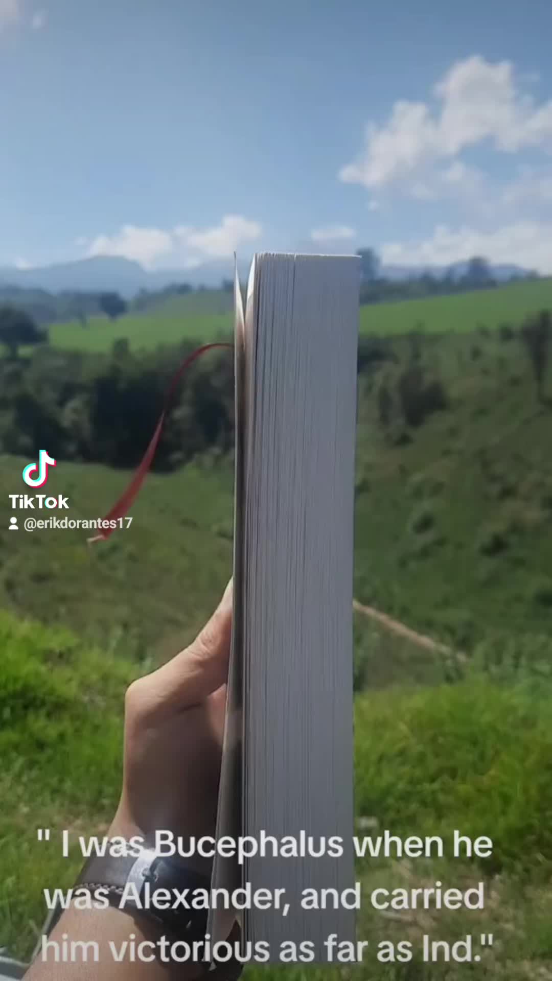 @ErikDorantes