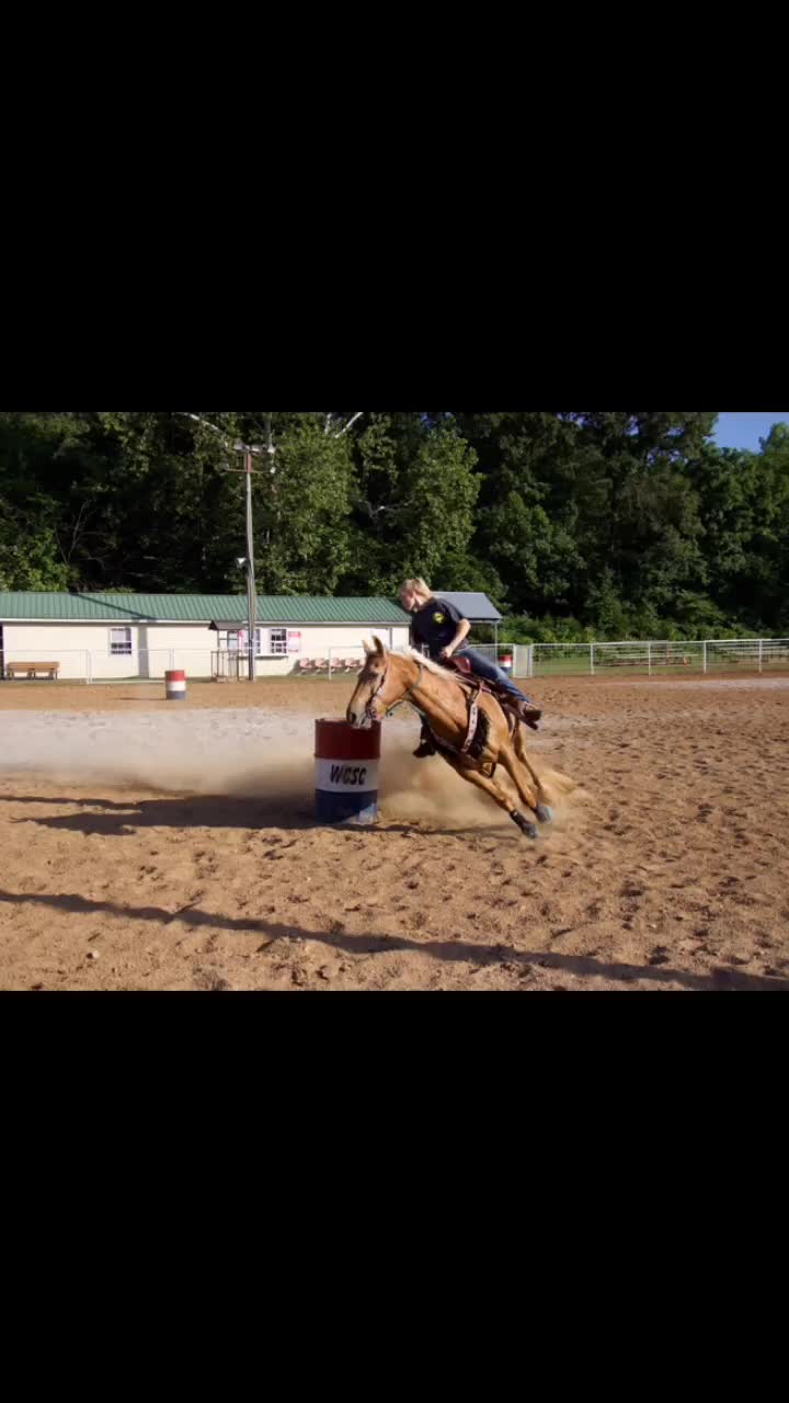 @My horse life❤️