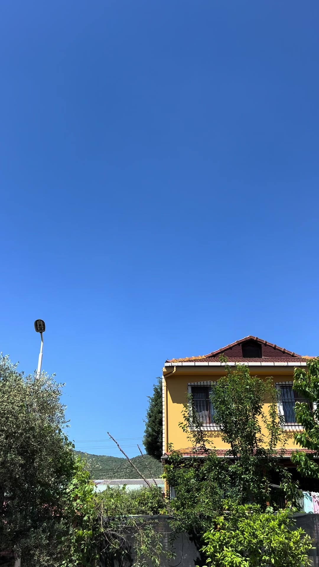 @Ahmet Kamalı
