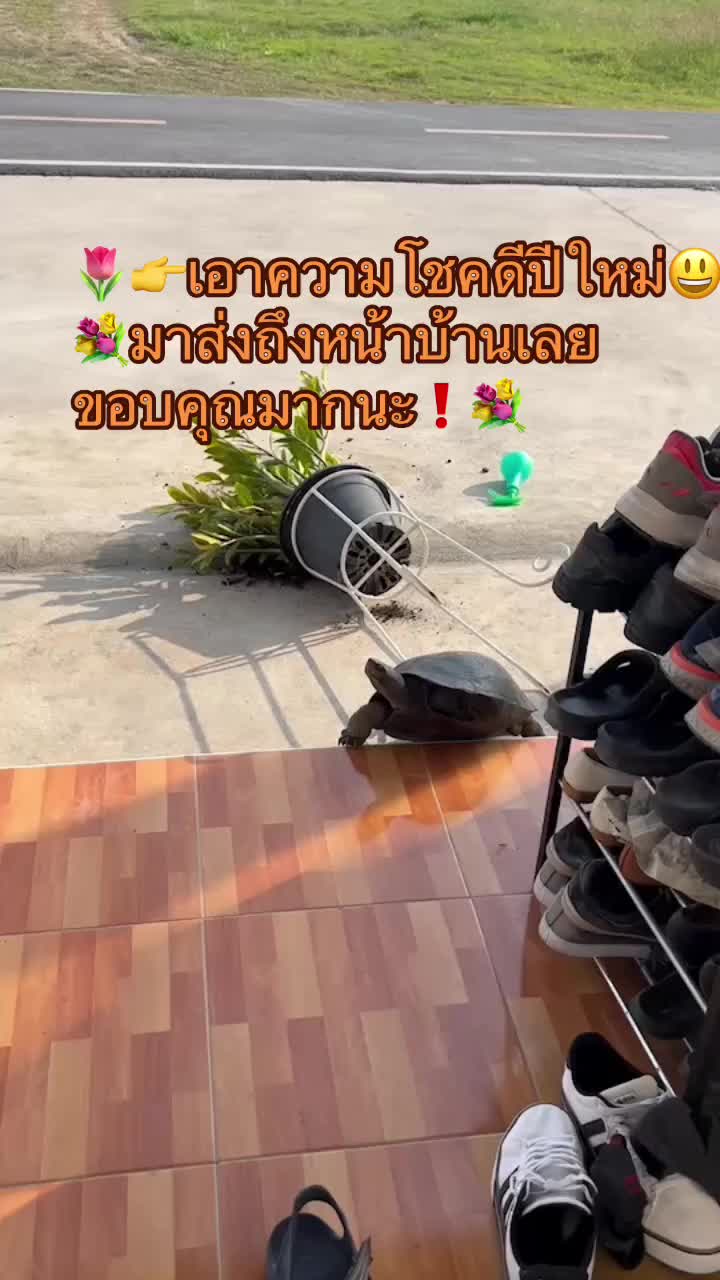 @aung_aungo23