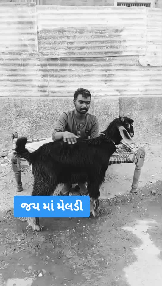 @🙏🙏કિંગમાંનાથુવારા?