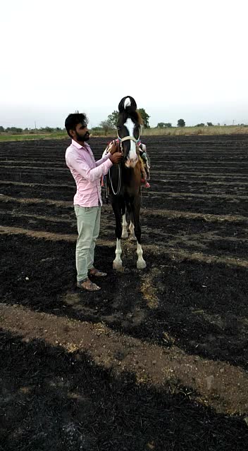 @vishvajit_sinh_9