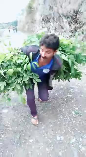 @Dinu Panwar
