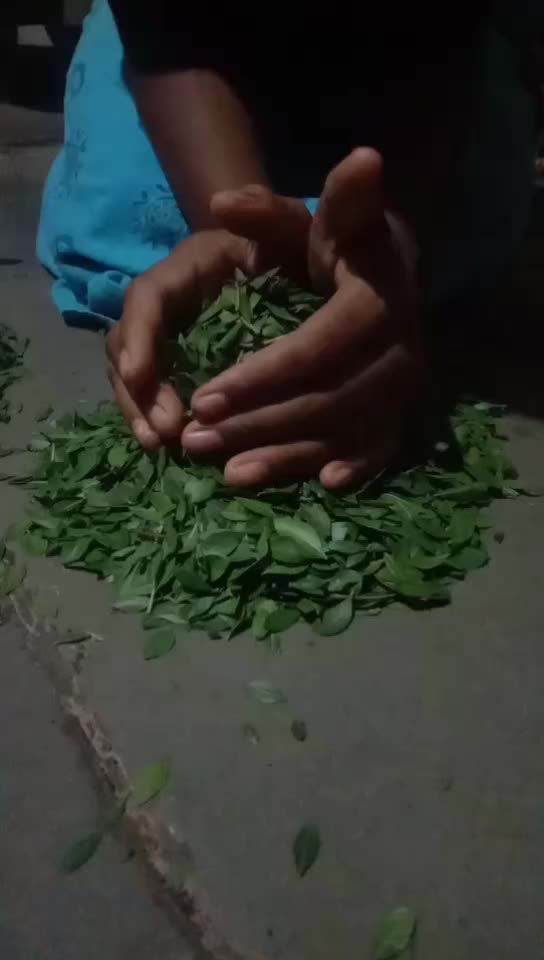 @Manu 5757