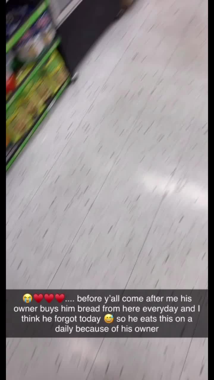@Jay_Quo_Lin