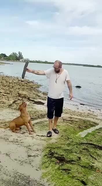@The Dog Father