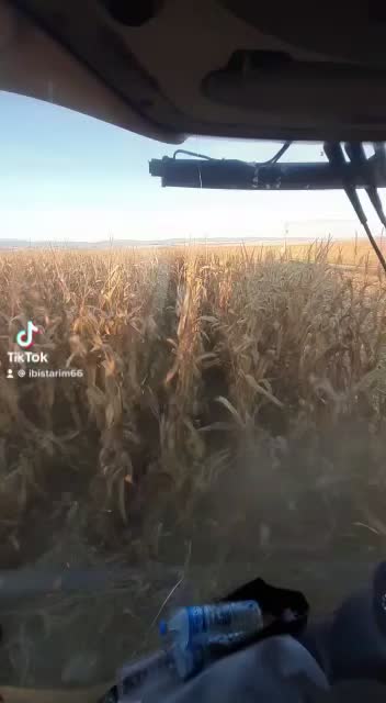 @Uğur ağa