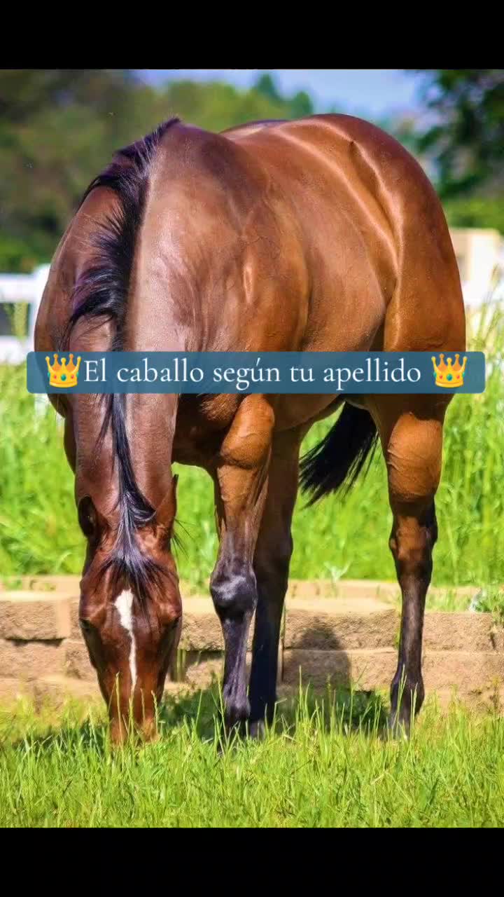 @Guillermo⚡☘️