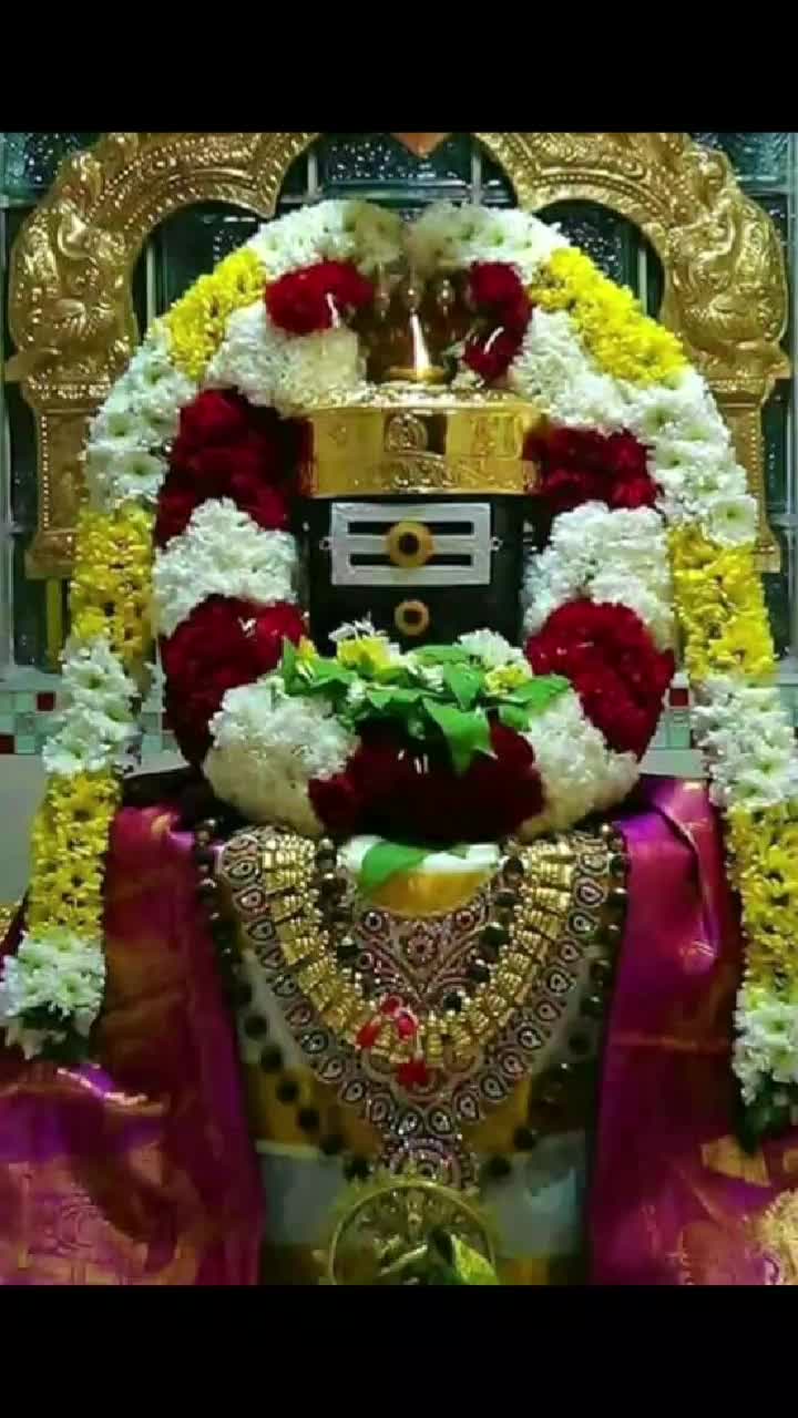 @nethra nagesh