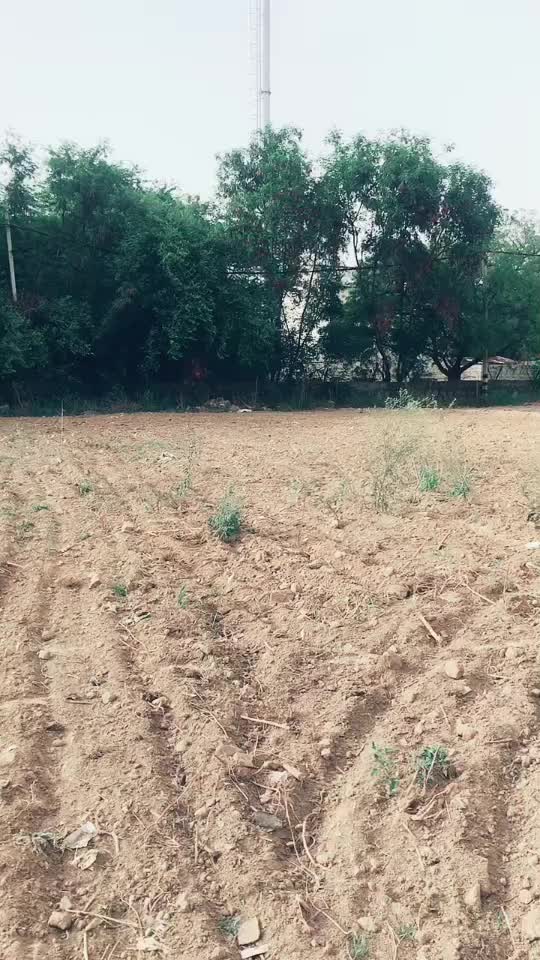 @Parminder kaur