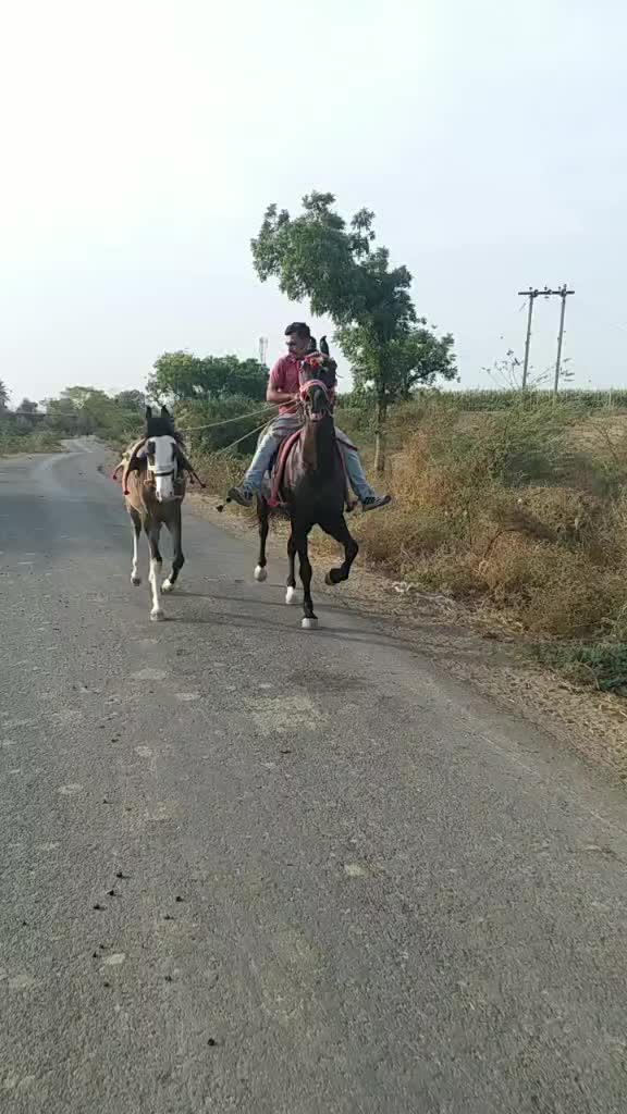 @Ahir Alpesh