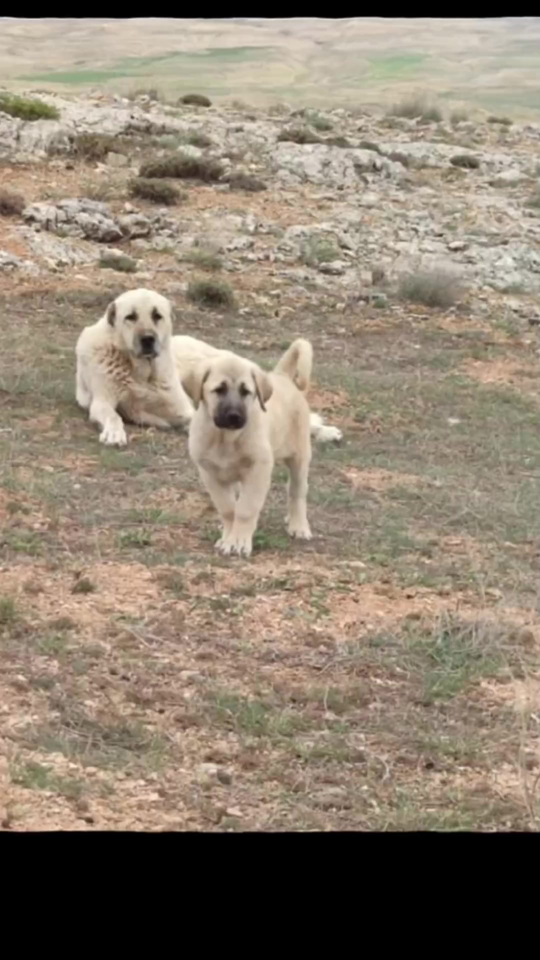 @Ozan Ak&ccedil;ay