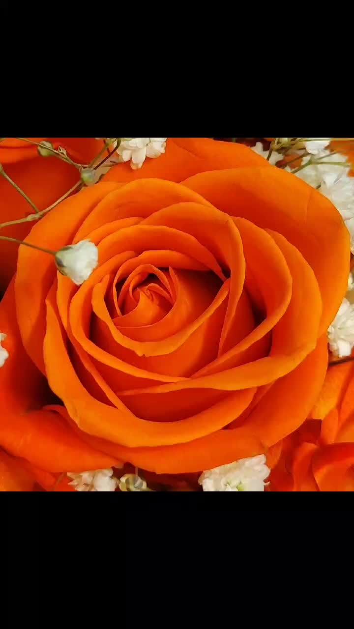 @user1493221941888