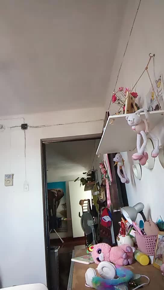 @Fabiola Ibarra
