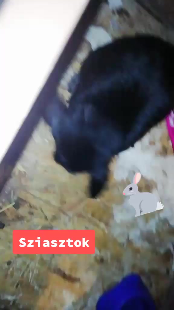 @Szutyok