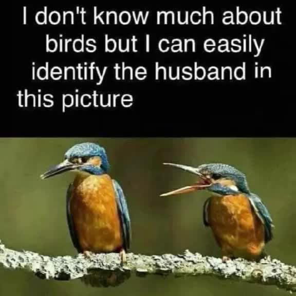 @Camilla Belle
