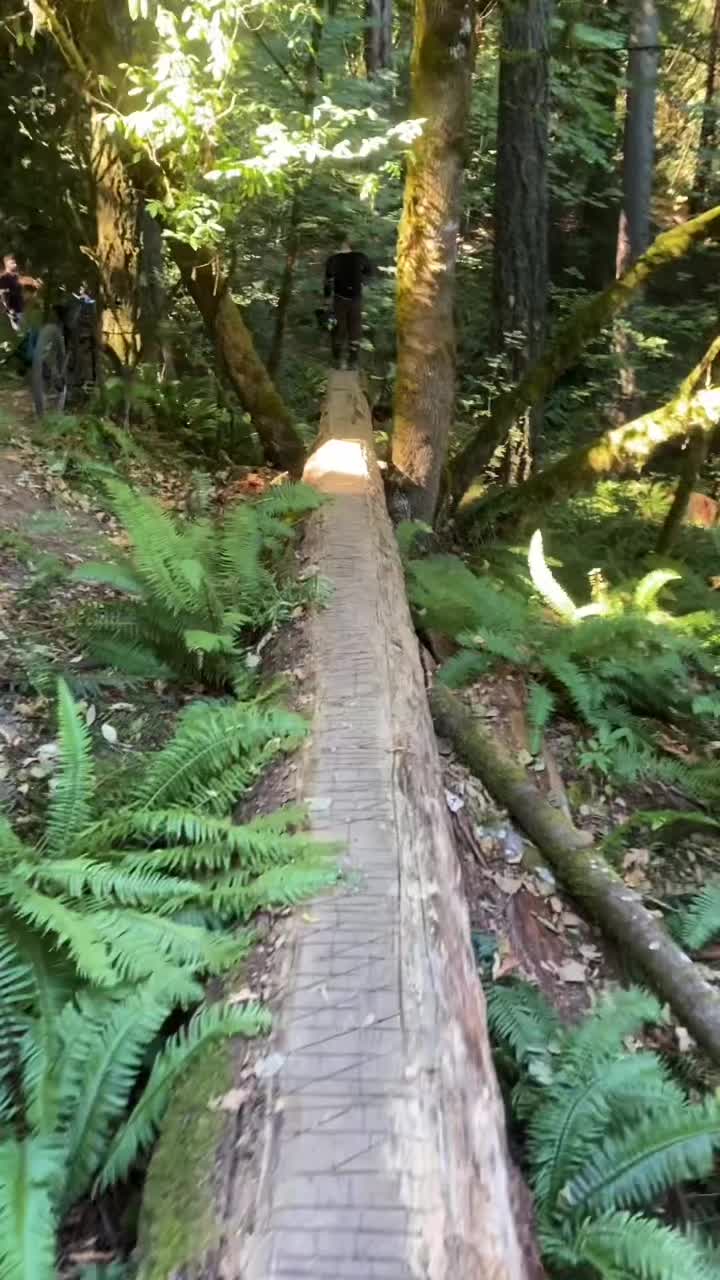 @Sodirte.Productions.MTB