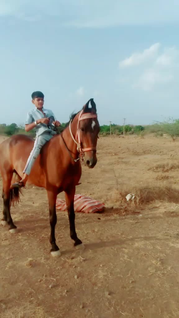 @👑 sujal Bharvad 👑