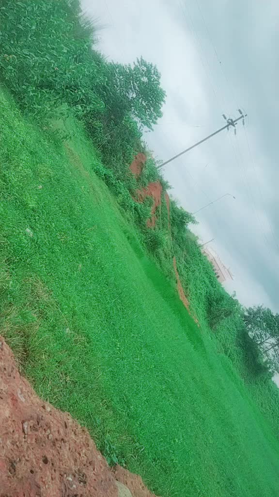 @Chandan Das