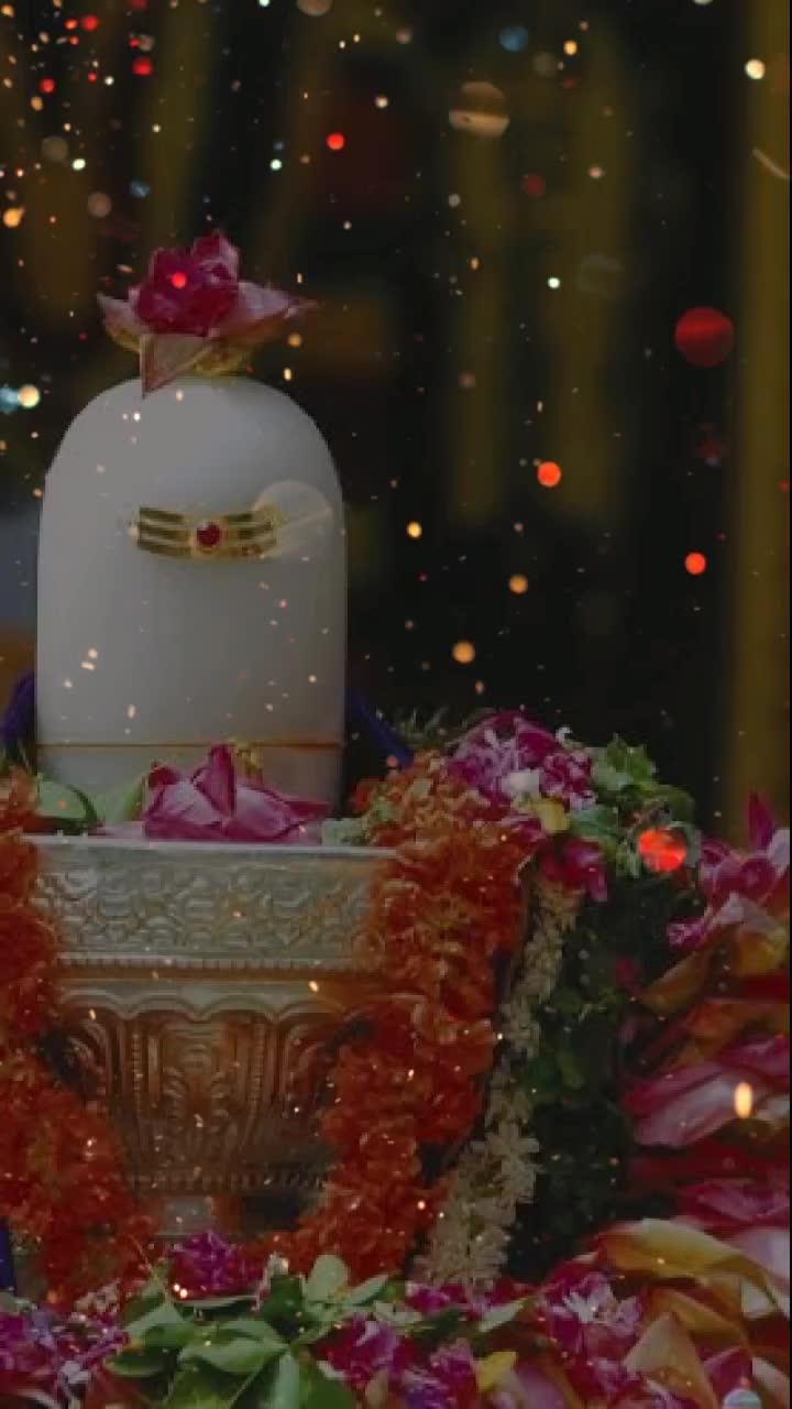 @paribajaj