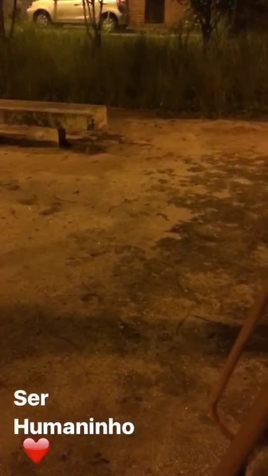 @João Vitor Maldonado