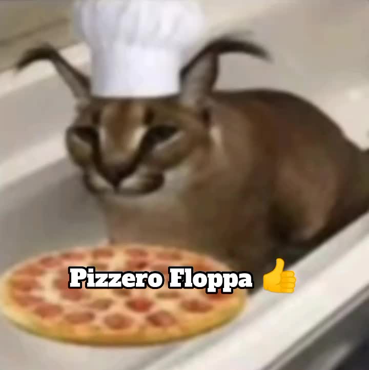 @FloppasFlop67
