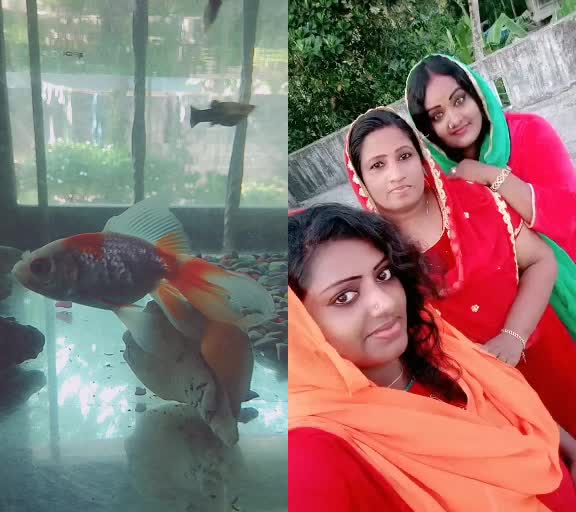 @user463956123142