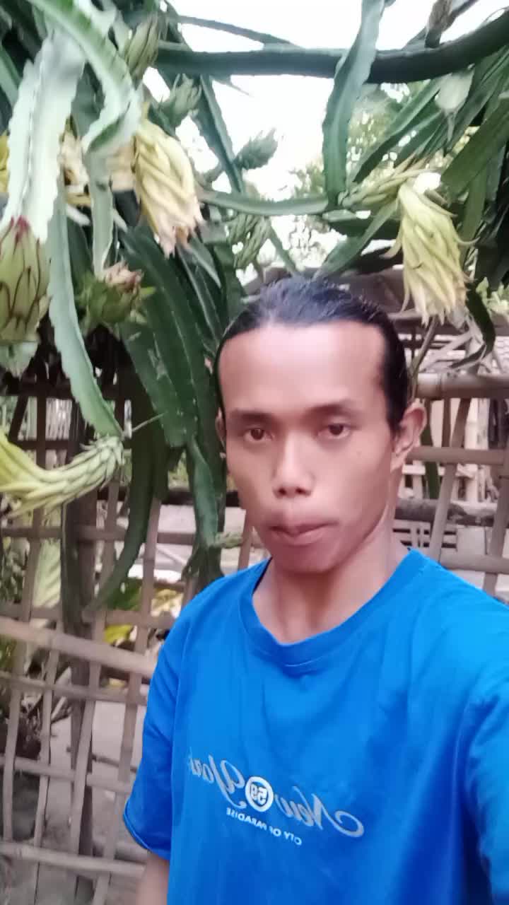@madamcatik