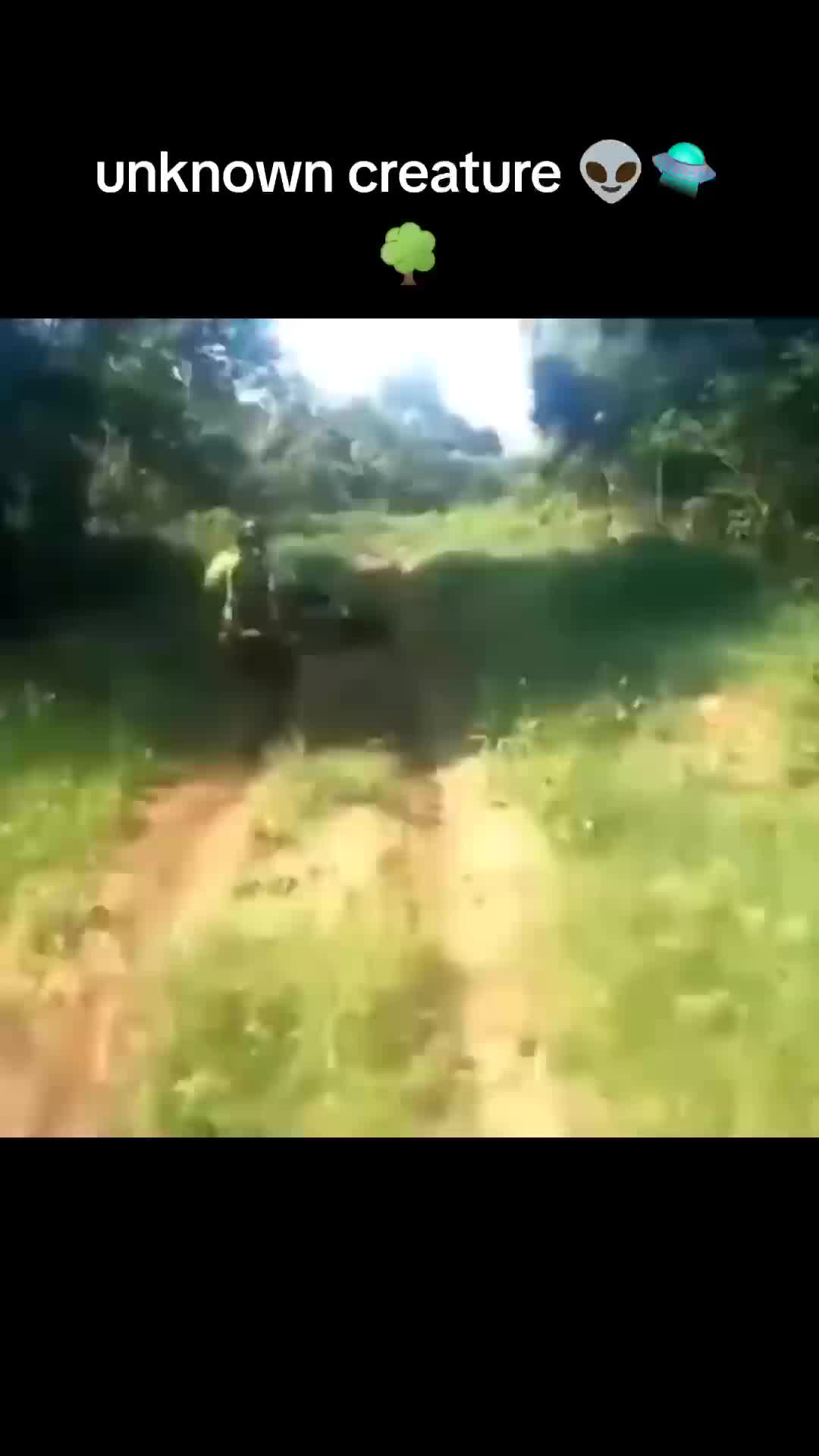 @shabathaka