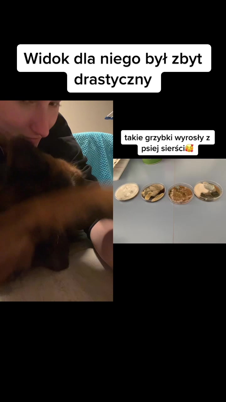 @Zuzia Łukasik