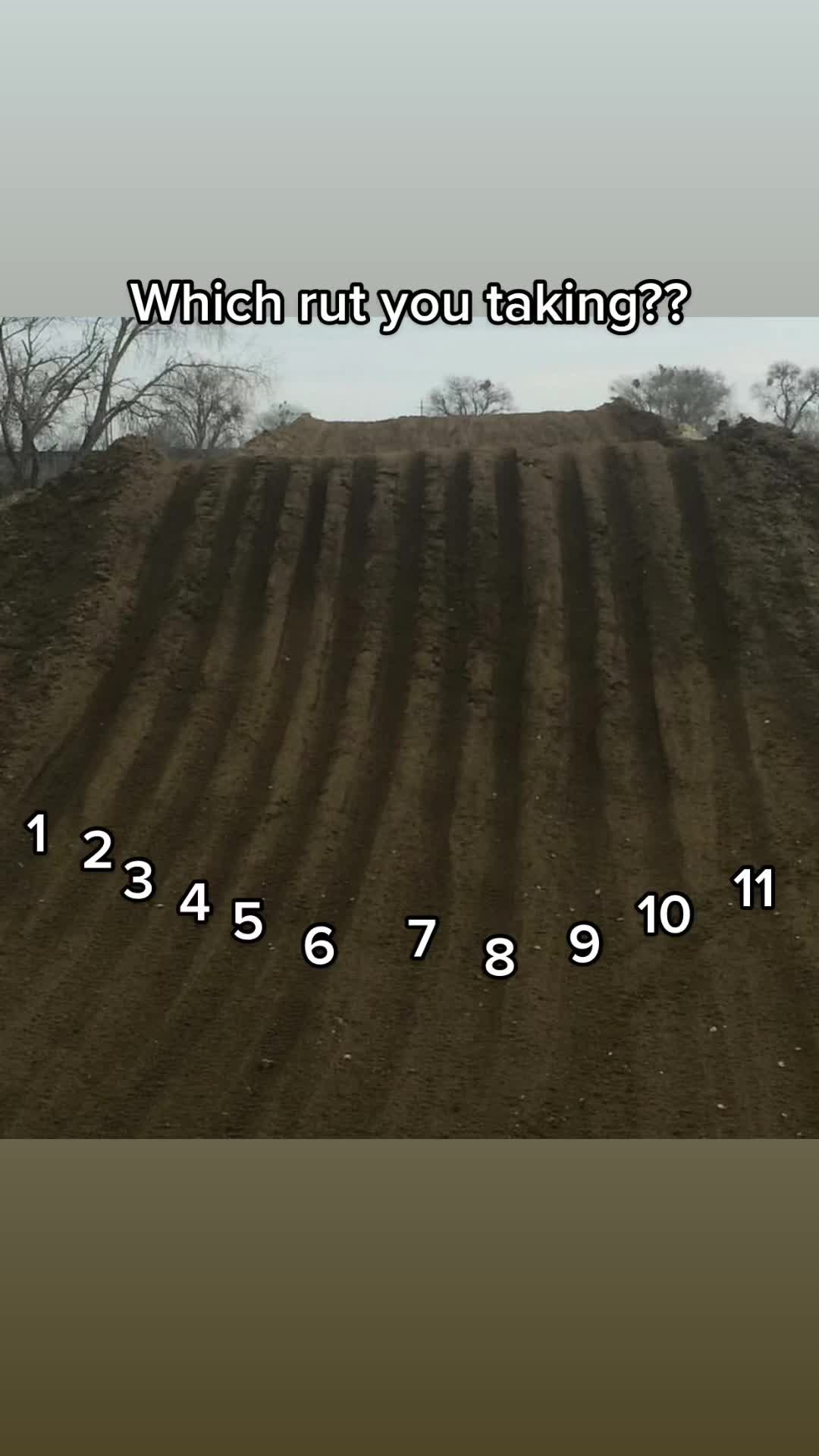 @D T