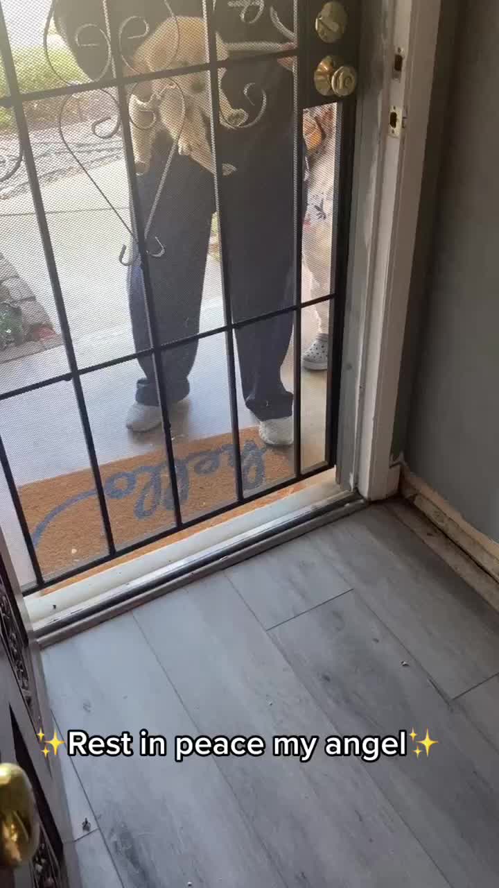 @yogitherapi