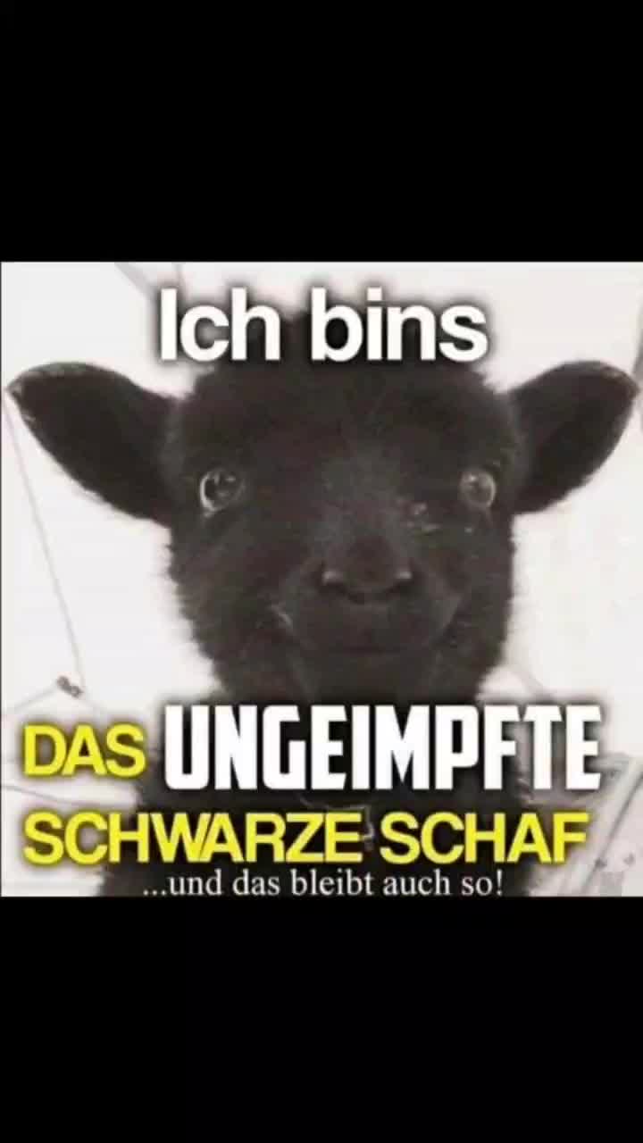 @LORD9_VADER9