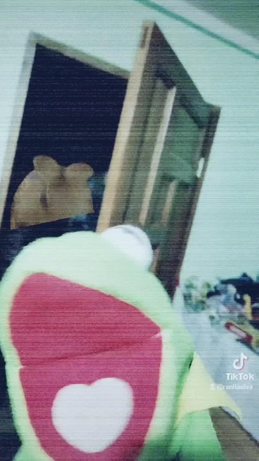 @RanitaAlva🐸