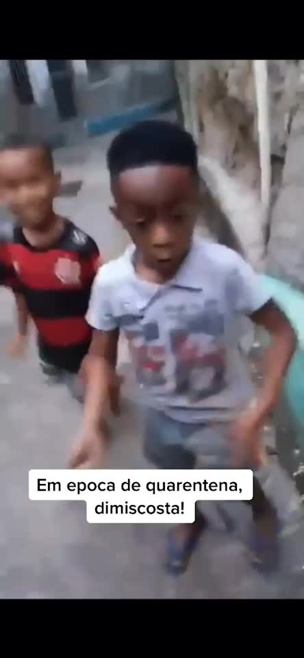 @João Vitor Maldonado