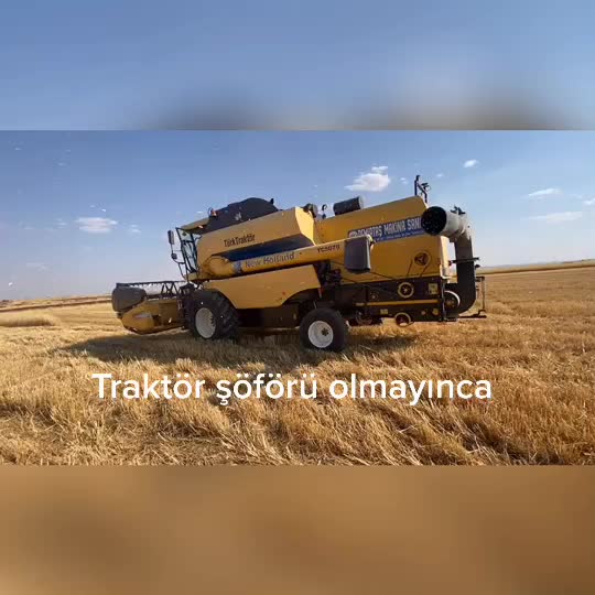 @Tajdin4747