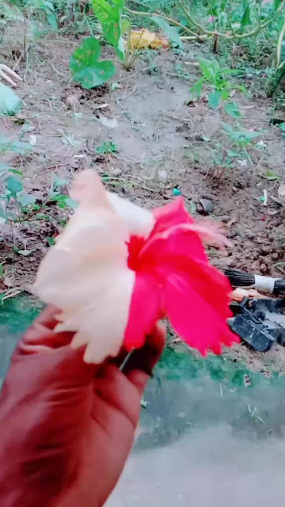 @prasanta ♥️♥️♥️👫👫👫 I love