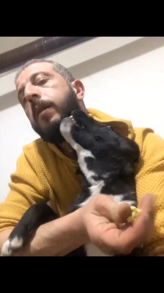 @Ertuğrul Emre Fırıncı