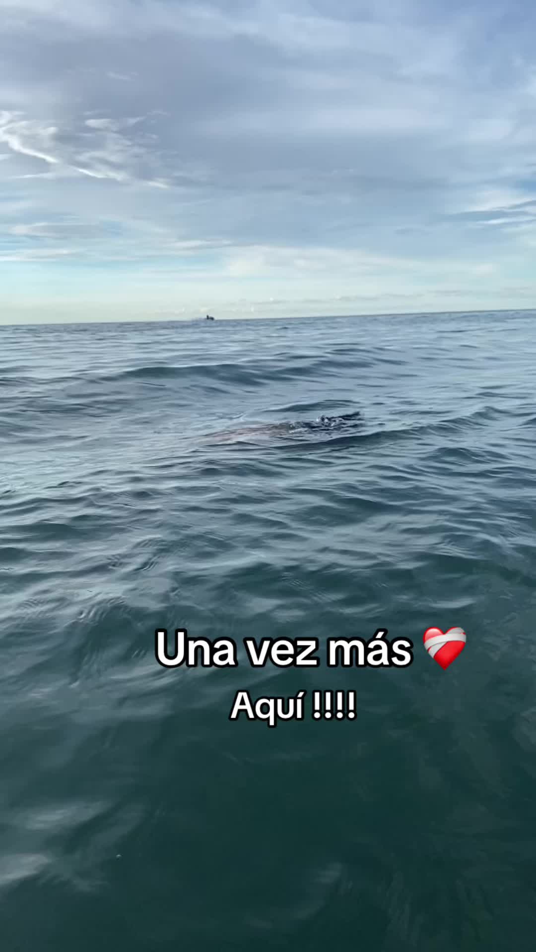 @kata.🇻🇪