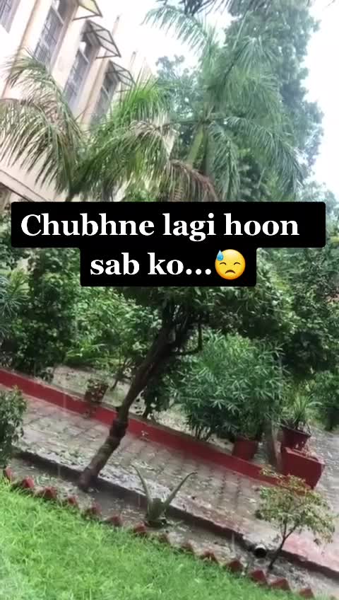 @Komal Rekhi