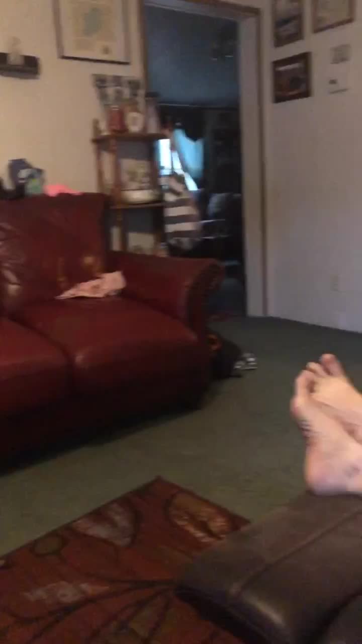 @StephyWal13