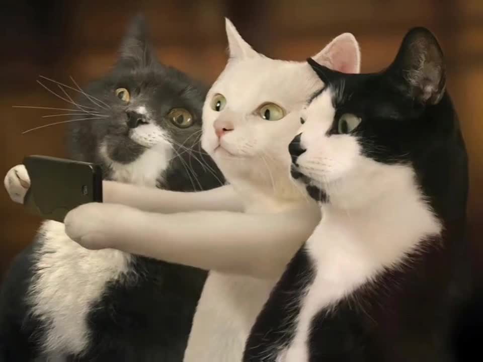 @💟