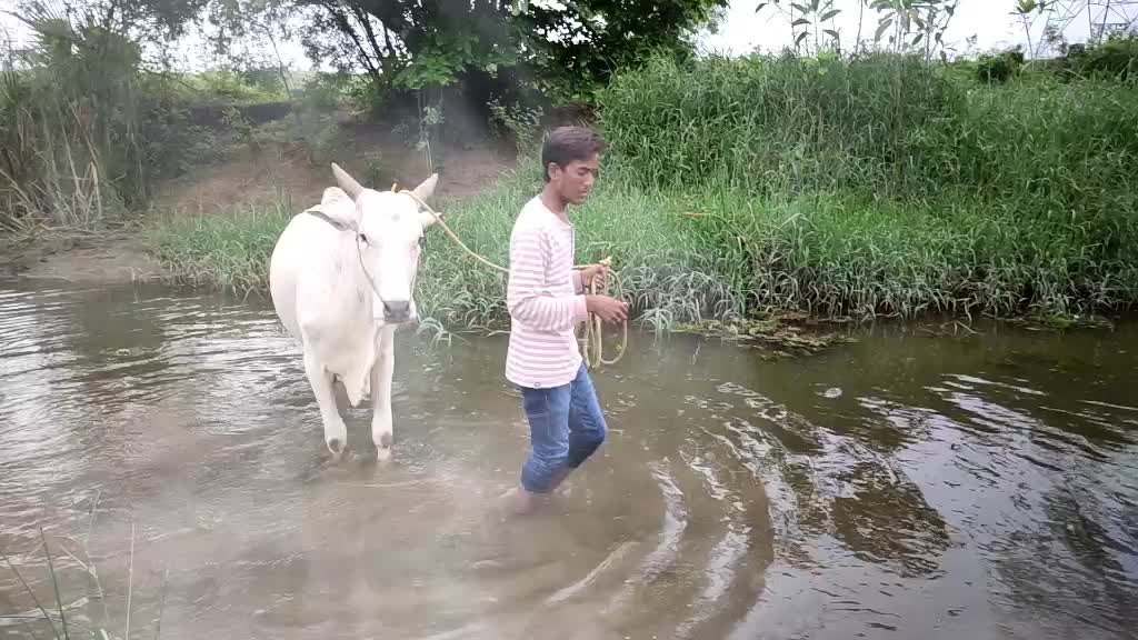 @Abhimanyu
