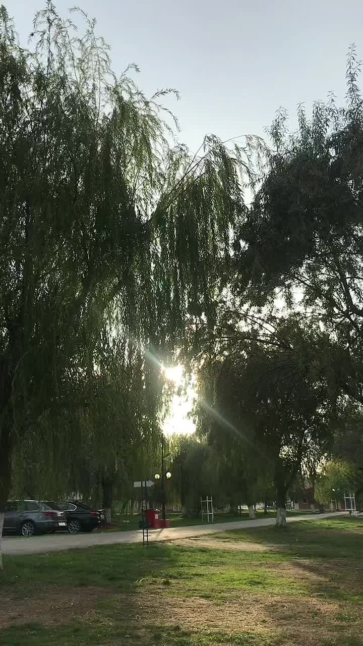 @Sara💞