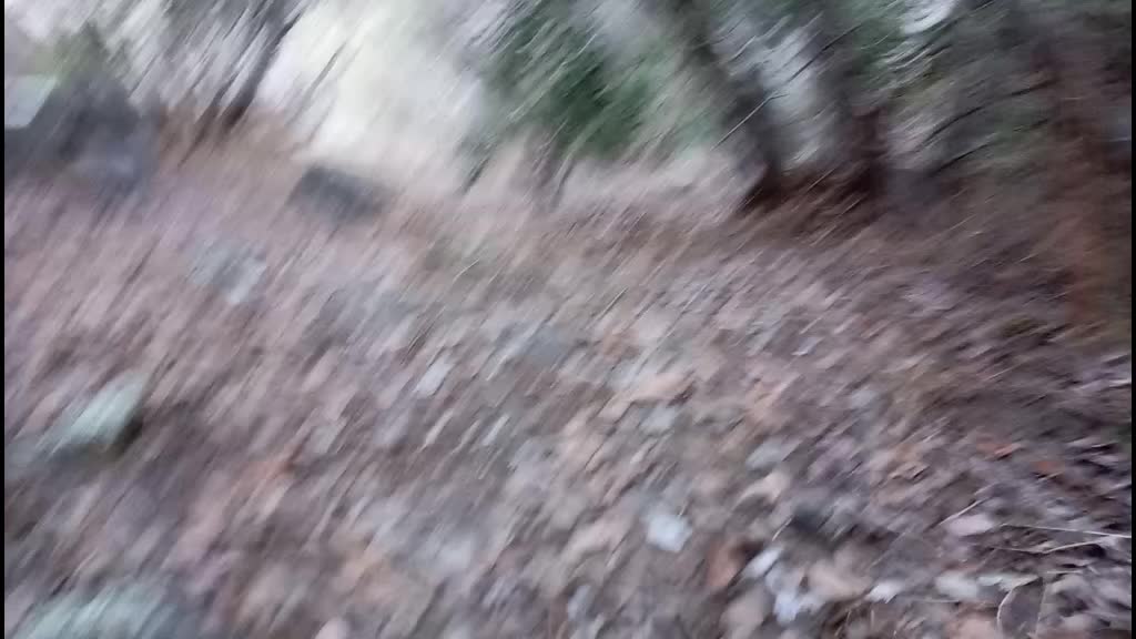 @vfaunreyes