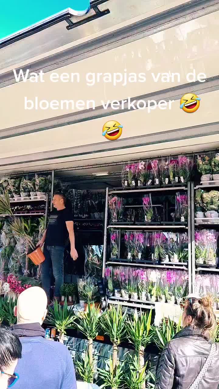 @Dutchdancequeen