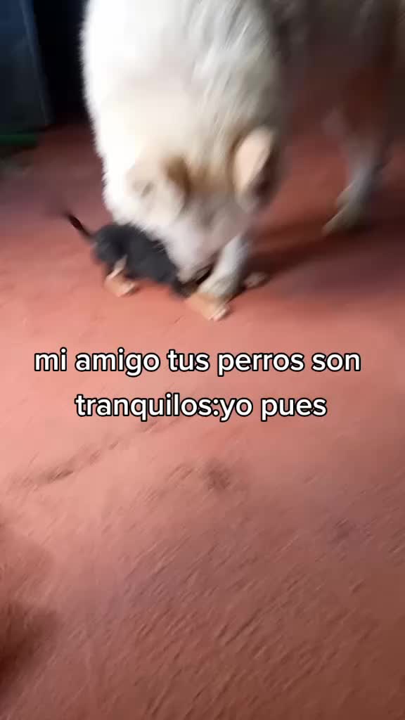 @editsdetodo