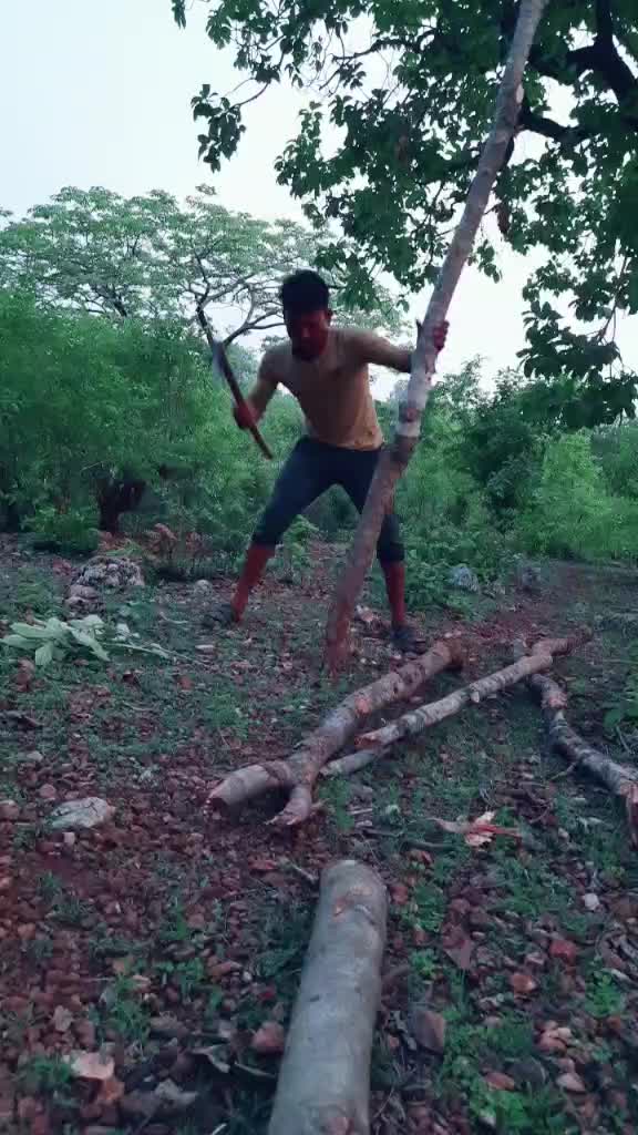@radhethakur64