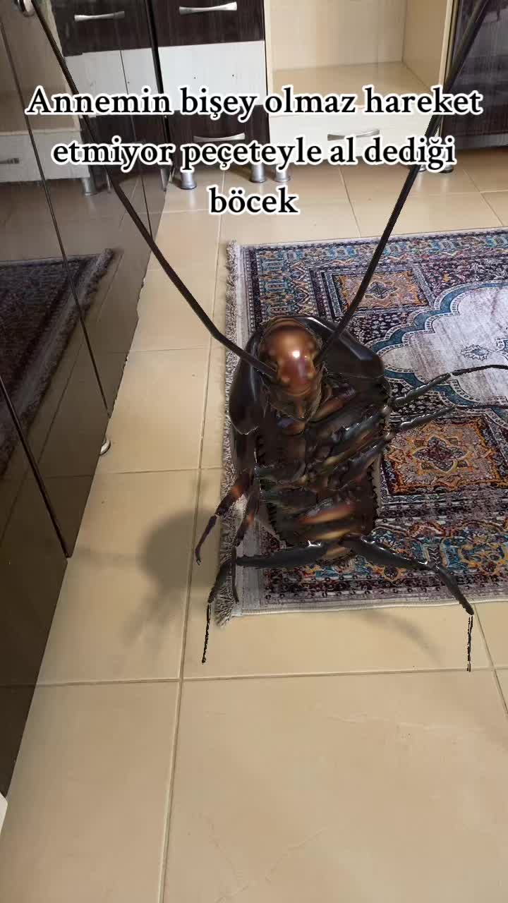 @𝐁𝐡𝐲𝐊𝐂̧🪩🎀